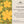 Load image into Gallery viewer, Gift of Support - Virtual Charity Gift Donation