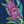Load image into Gallery viewer, Gift of Support - Virtual Charity Gift Donation