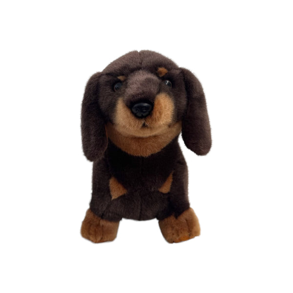 Plush - Dachshund - Stretch