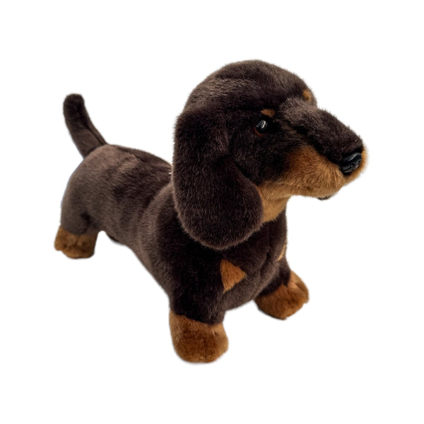 Plush - Dachshund - Stretch