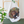 Load image into Gallery viewer, Tea Towel - Marini Ferlazzo - Organic Cotton