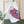 Load image into Gallery viewer, Tea Towel - Marini Ferlazzo - Organic Cotton
