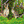 Load image into Gallery viewer, Puzzle - Jigsaw - 3D