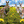 Load image into Gallery viewer, Puzzle - Jigsaw - 3D