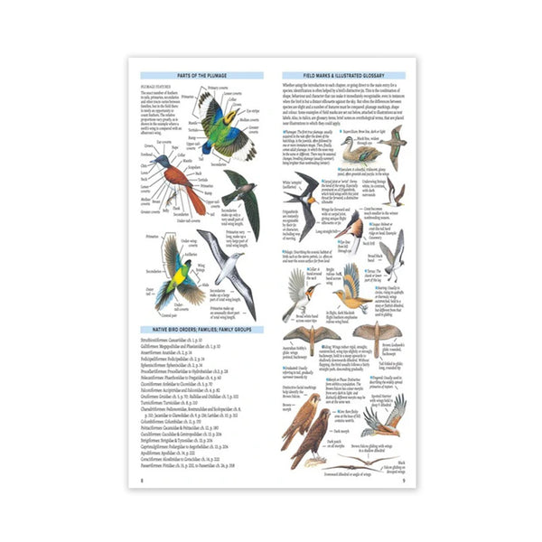 Book - Compact Field Guide to Australian Birds