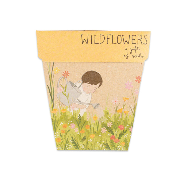 Gift of Seeds