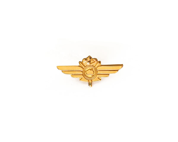 Badge - RFDS wings - Gold - 30mm